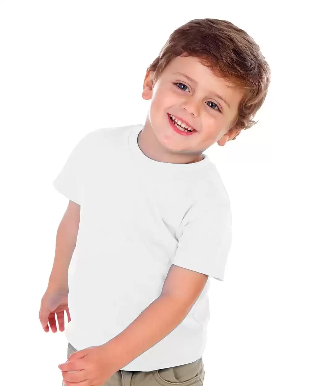 366855.webp
