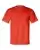 359407.webp