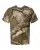366446.webp