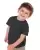 366876.webp
