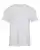 367063.webp