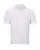 367213.webp