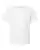375051.webp