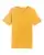 375769.webp