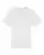 375878.webp