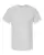 377231.webp