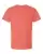 377462.webp