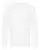 377544.webp