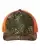 381801.webp