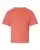 382206.webp