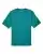 383797.webp